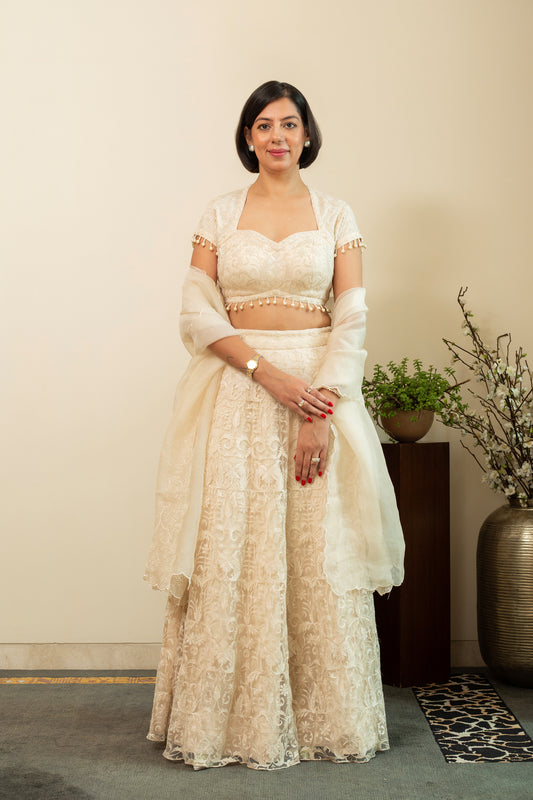 MAHNOOR Ecru Net Lehenga with Jaal Embroidery