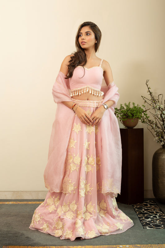 GULBANO Parsi Boota Lehenga in Pastel Pink Colour