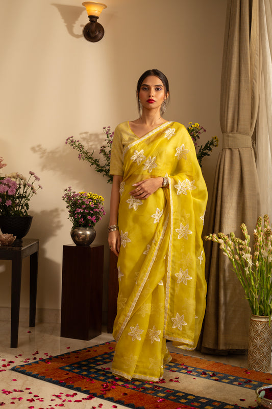 Nargis Lime Pure Silk Organza Saree Embroidered with Bead Work