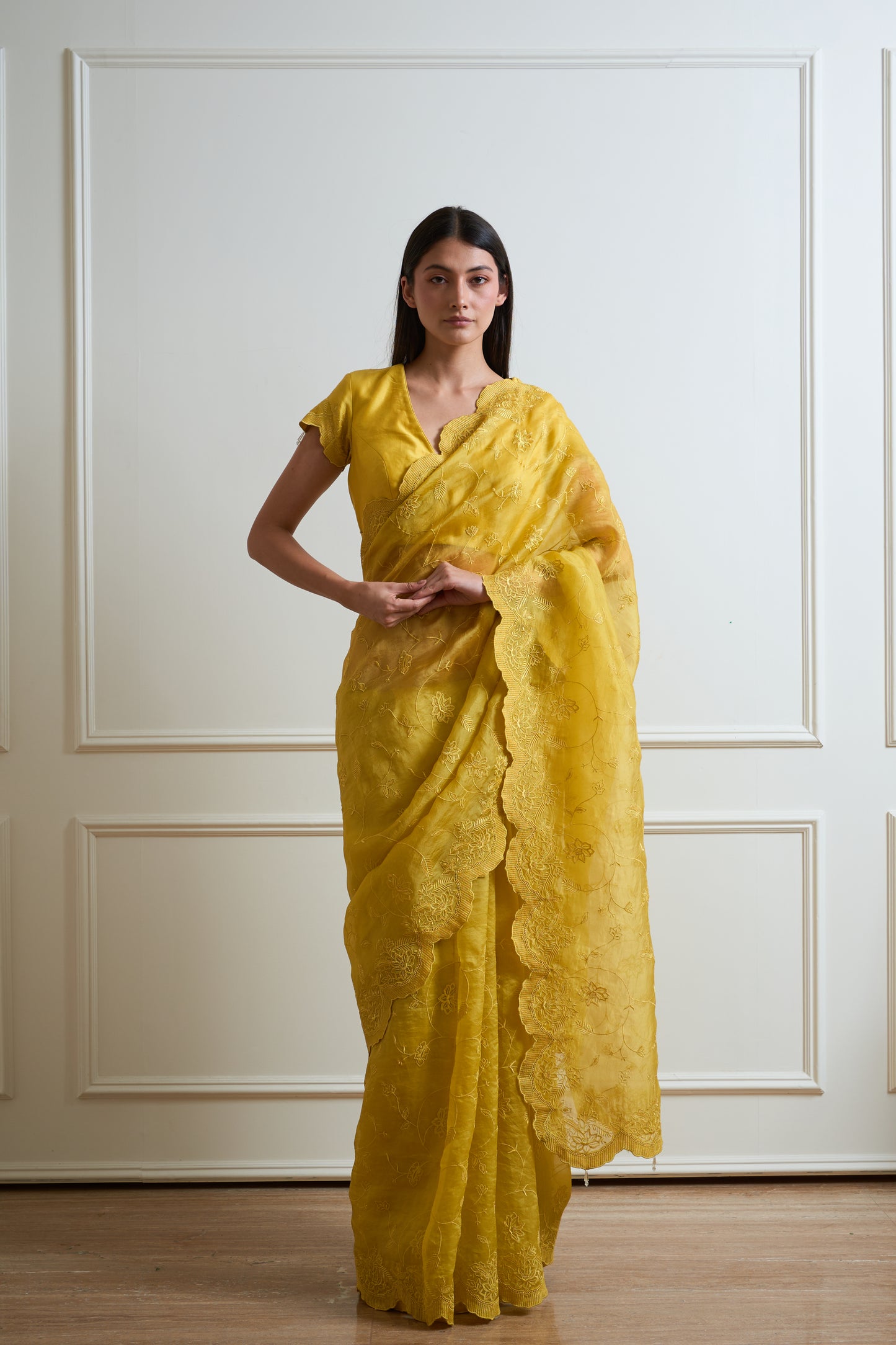 Mehak Lime Tone on Tone Organza Saree