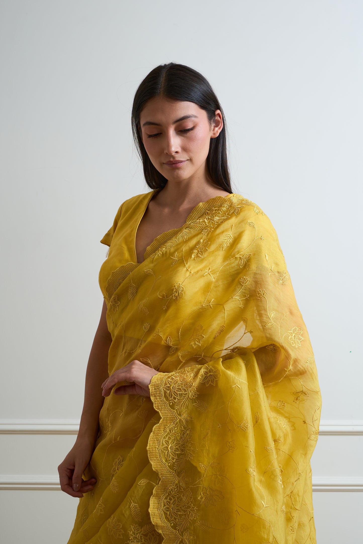 Mehak Lime Tone on Tone Organza Saree