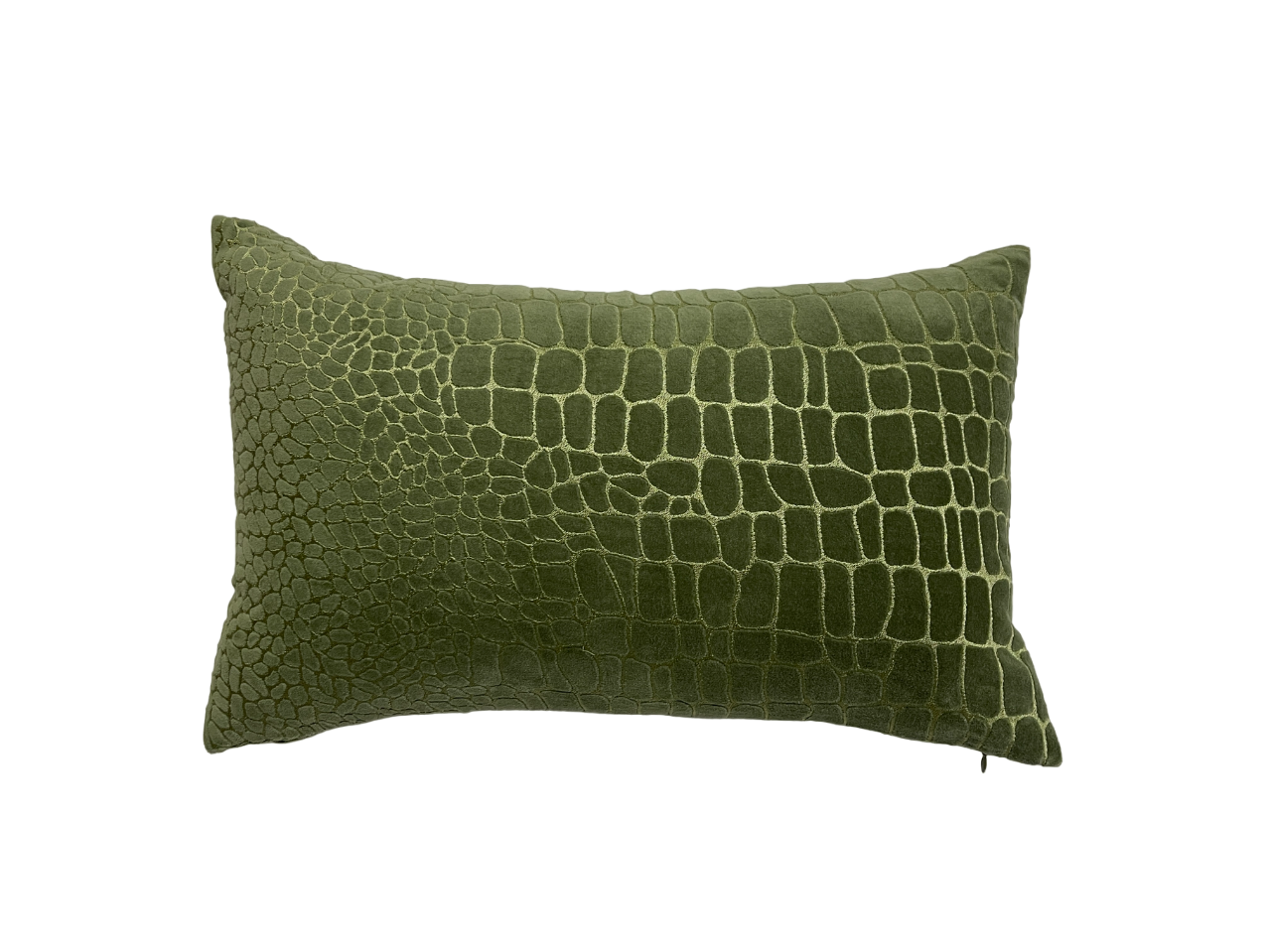 Wild Luxury Velvet Embroidery Sage Green Cushion Cover