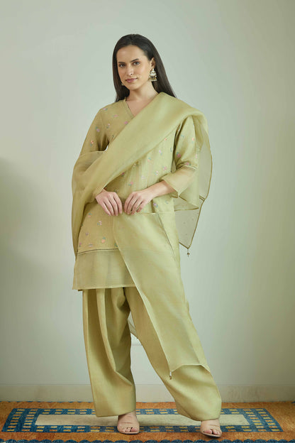 Chand Gulzar Sage Green - Linen Farshi Salwar Set