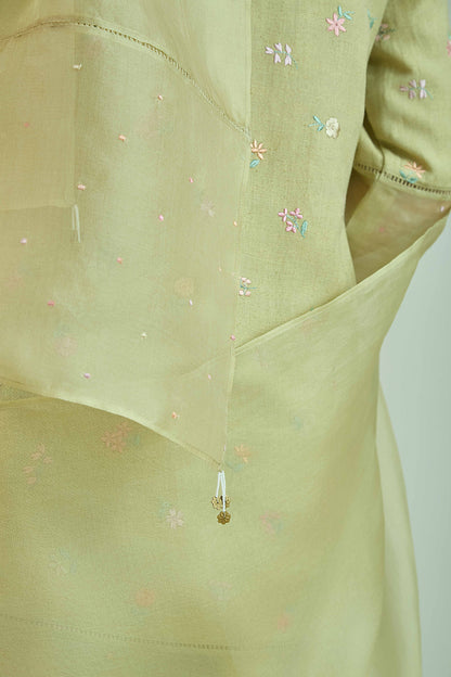 Chand Gulzar Sage Green - Linen Farshi Salwar Set