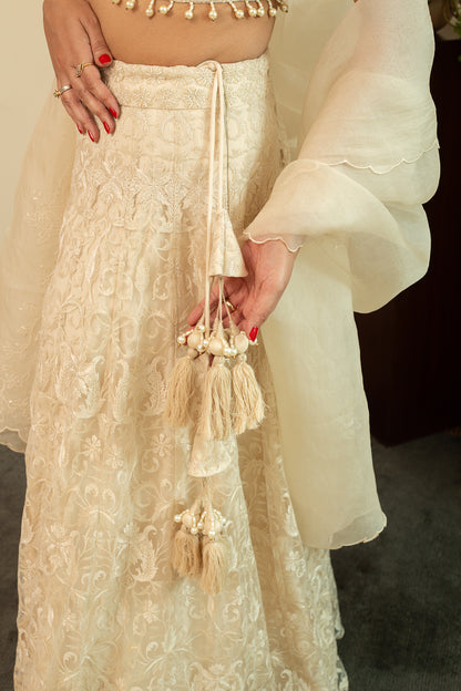MAHNOOR Ecru Net Lehenga with Jaal Embroidery