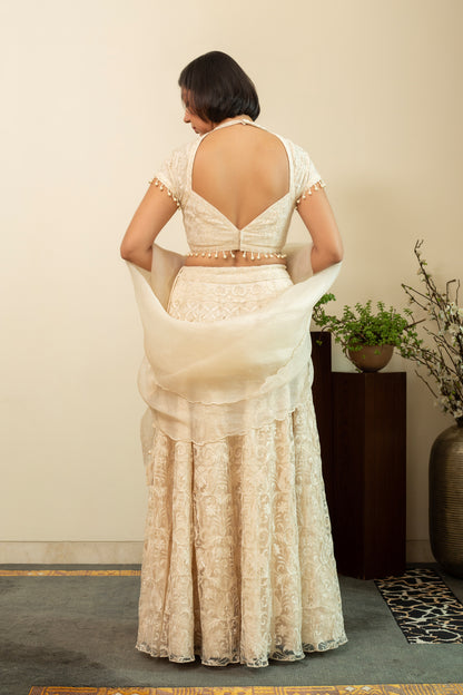 MAHNOOR Ecru Net Lehenga with Jaal Embroidery
