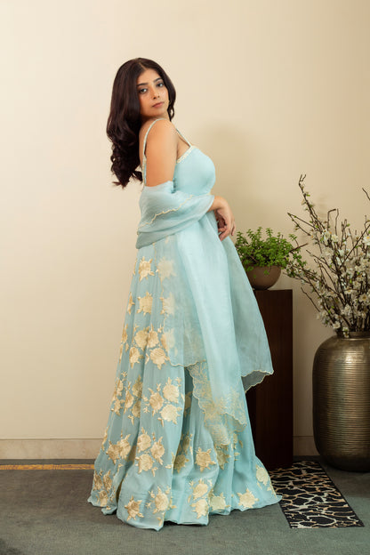 GULBANO Parsi Boota Lehenga in Powder Blue Colour