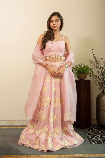 GULBANO Parsi Boota Lehenga in Pastel Pink Colour