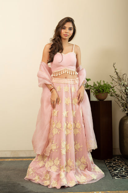 GULBANO Parsi Boota Lehenga in Pastel Pink Colour