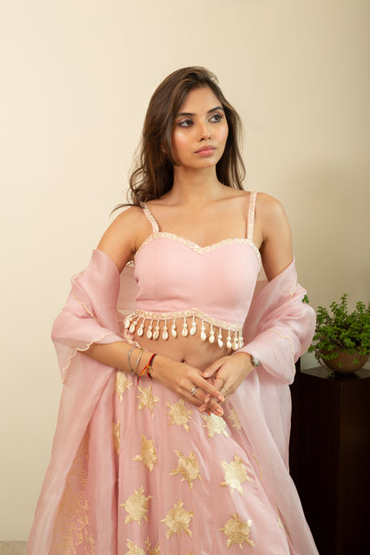 GULBANO Parsi Boota Lehenga in Pastel Pink Colour