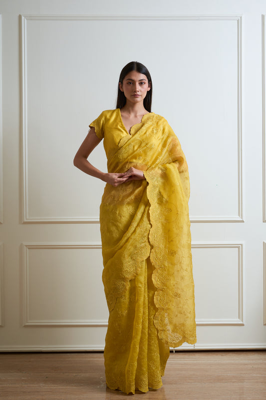 Mehak Lime Tone on Tone Organza Saree