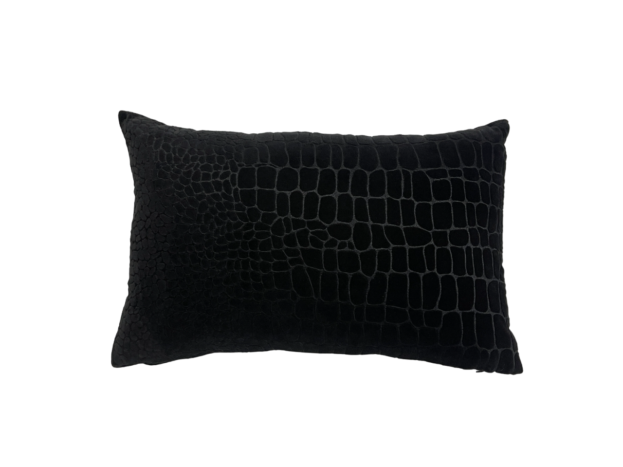 Wild Luxury Velvet Embroidered Black Cushion Cover