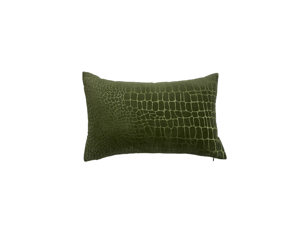 Wild Luxury Velvet Embroidery Sage Green Cushion Cover