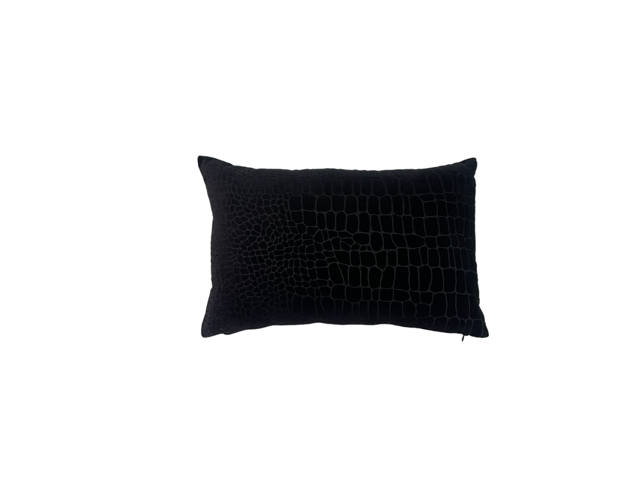 Wild Luxury Velvet Embroidered Black Cushion Cover